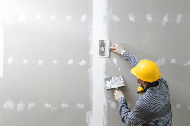  Fort Meade, FL Mold Removal Pros