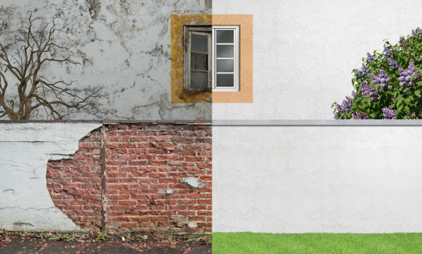 Best Forensic Mold Investigation  in Fort Meade, FL