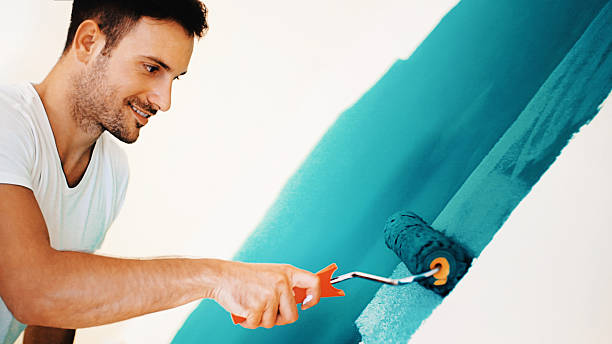 Best Basement Mold Removal  in Fort Meade, FL