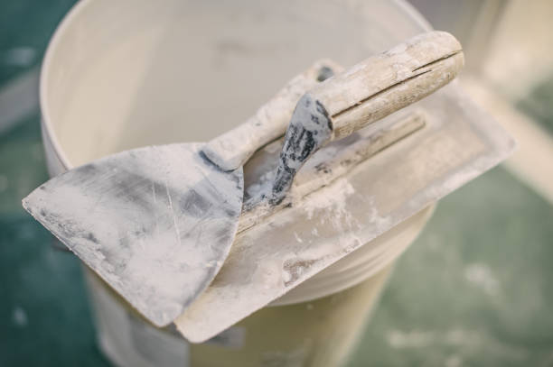 Best Mold Removal for HVAC Installations  in Fort Meade, FL