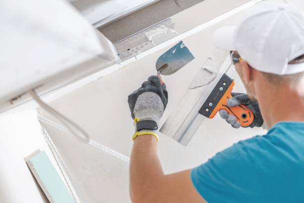 Best Residential Mold Inspection & Testing  in Fort Meade, FL